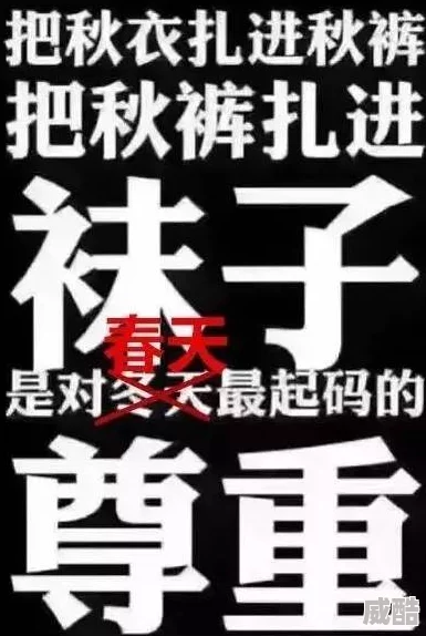 《我很大拜托千万要忍一下歌曲》：探讨其在当代流行文化中的影响与受众反响分析