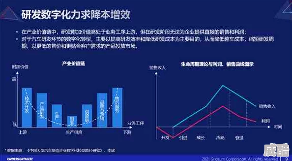 xx69：深入分析数字化转型对企业运营效率的影响及其在全球市场中的应用案例研究