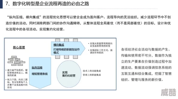 xx69：深入分析数字化转型对企业运营效率的影响及其在全球市场中的应用案例研究