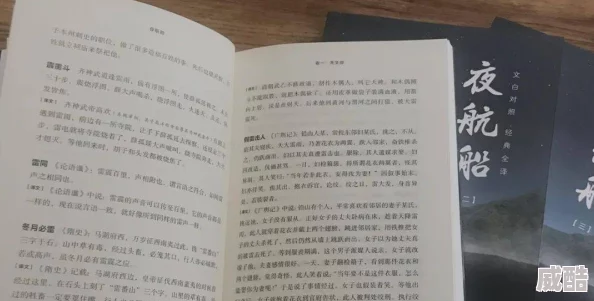 ChineSe露脸老女人：揭示她们背后的故事与生活，展现独特魅力与智慧的真实面貌