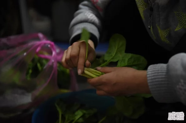 老爸当家四姐妹一起做饭在哪一集温馨提示：在第35集，四姐妹齐心协力为老爸做了一顿丰盛的晚餐