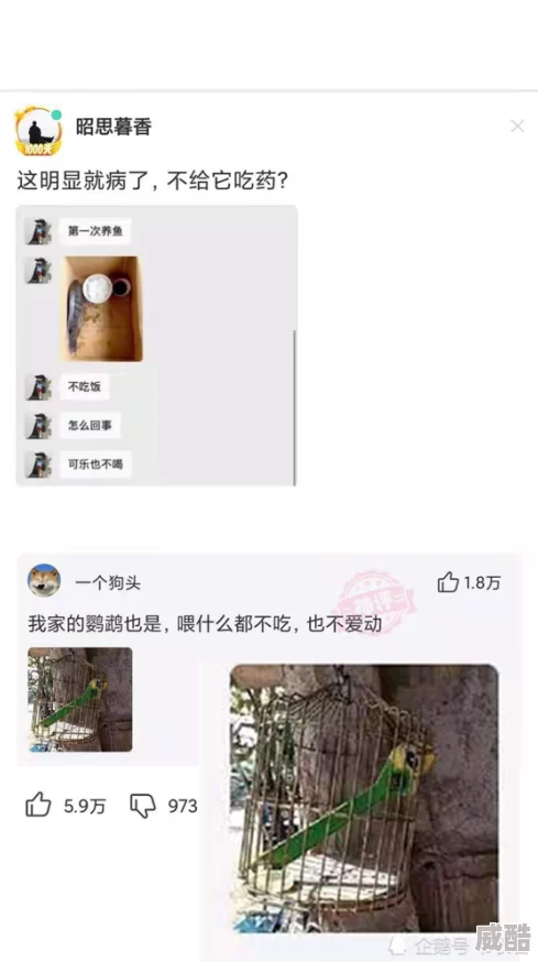 “美女扒开腿秘男人爽桶”网友：低俗标题，内容令人不适