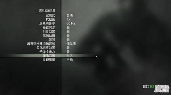 中文字幕三级画面模糊，音画不同步，剧情老套，浪费时间，毫无价值