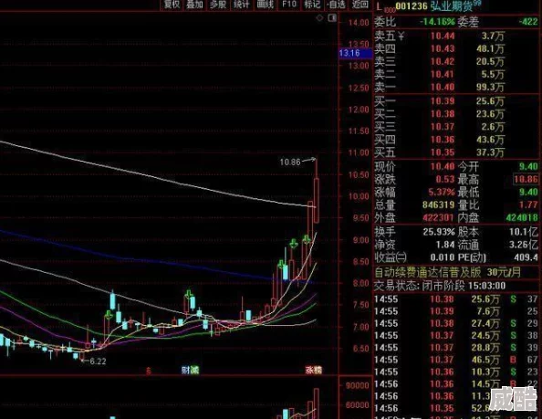 观赏植物大全盆栽新增品种介绍及养护技巧更新至2024版