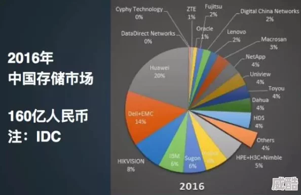 国产精品12页探讨其内容质量与市场反响并分析其潜在发展趋势