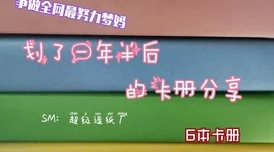 2024热门新构筑！平民主教卡组推荐：廉价高效0TK主教流分享