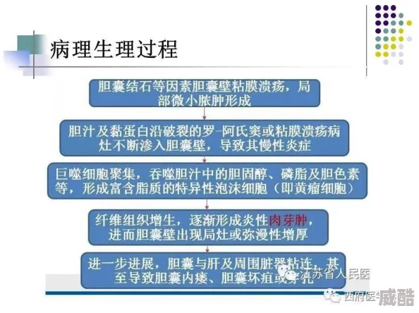 欧美性二区：成人内容分级制度与网络监管挑战的探讨