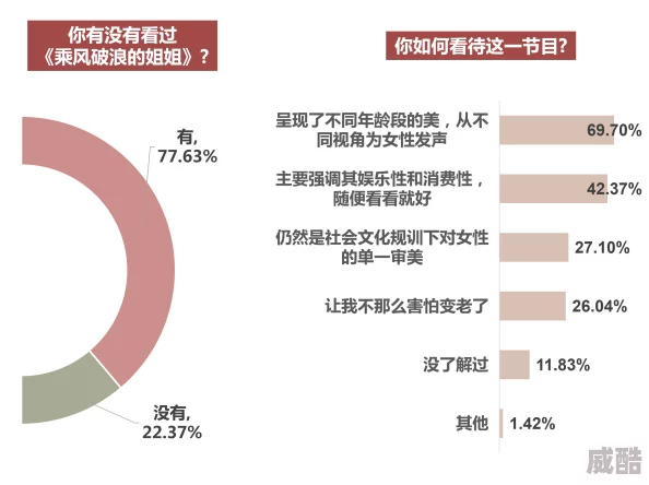 欧美性二区：成人内容分级制度与网络监管挑战的探讨