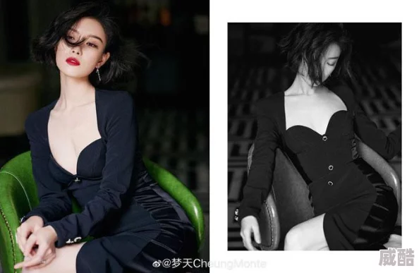 北条麻妃456曾与某神秘摄影师合作推出限量写真集引发粉丝抢购