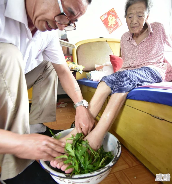 浪子回头金不换电视剧免费观看全集上线虐心剧情引热议