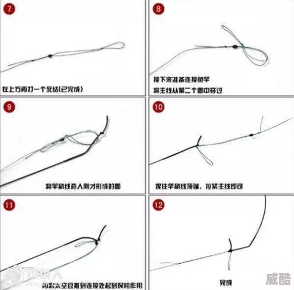 绳之韵小鹿捆绑绳艺vk教程资源更新新增多种花式捆绑技法