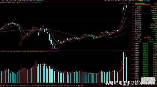 91xxx版本更新新增自定义主题和优化用户体验