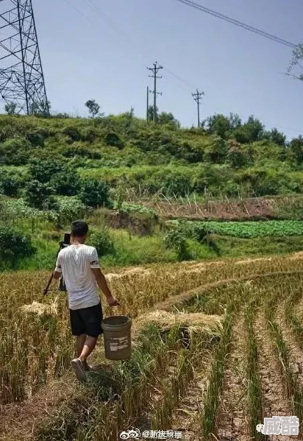 真实国产乱子伦精品一区二区三区内容低俗情节荒诞毫无价值浪费时间误导观众