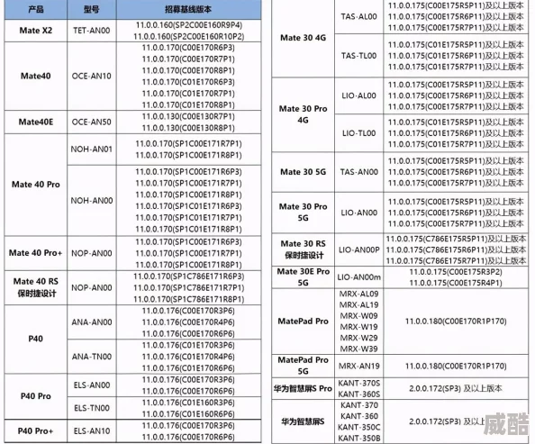 女生寸止挑战你能坚持多久挑战升级限时10秒不准动