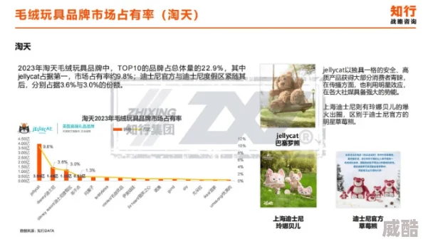 xxx中国毛茸茸爱好者对毛绒玩具和动物的喜爱与消费趋势