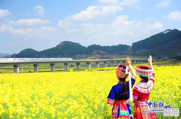 草草草春日野餐正当时各地鲜花盛开引游人踏青赏花