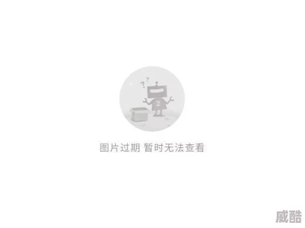 国产wwww为什么制作团队专业敬业不断创新为何它获得如此成就