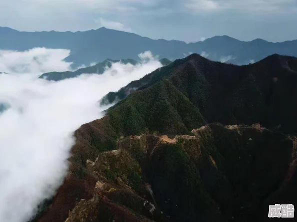 天堂一区二区为何资源种类繁多更新速度快备受大众欢迎