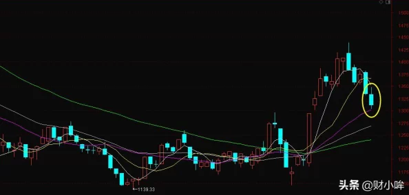 重装突击革新上线：突突大作战，热门休闲新玩法来袭！