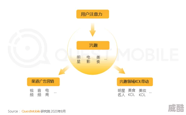 差差差差差差差差差网站app探索网络信息传播与平台责任的边界