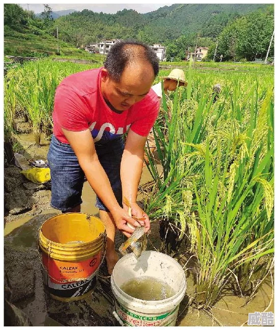 鲤鱼乡边走边好大2025元宇宙乡村旅游新体验火爆预订通道开启