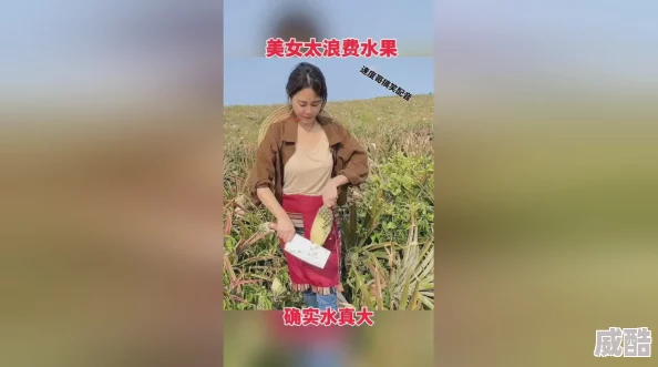 美女拍拍拍网友称内容低俗缺乏创意浪费流量