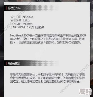 少女前线NS2000建造攻略及全面百科详解2025新版