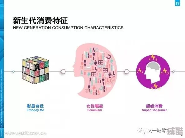 深度解析白噪生存指南苏醒测试参与方法与流程详解