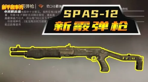 SPAS-12霰弹枪性能解析 - 和平精英获取攻略与使用技巧