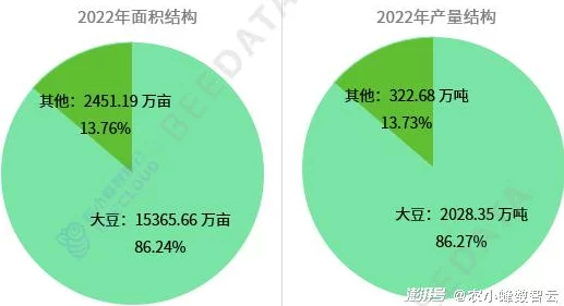 光遇美工买断费用解析：每月成本及市场行情分析