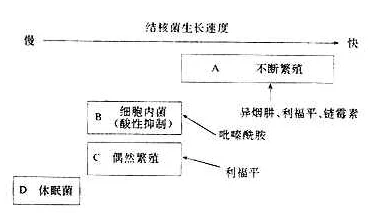 暗区突围重症肺损伤解析：全面梳理暗区突围药品类别及大全