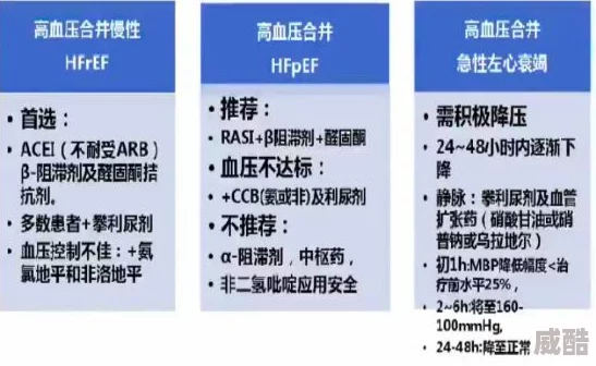 深度解析白噪生存指南苏醒测试参与方法及流程详解