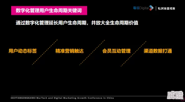 深度解析归龙潮禁区秘密任务的完成策略与要点